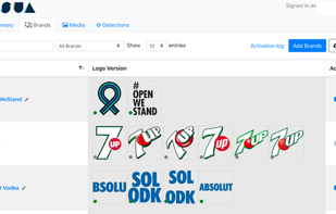 VISUA API Dashboard - Logo Detectiony