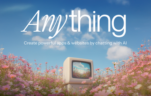 Anything screenshot 1