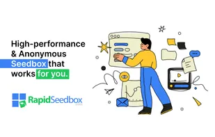 RapidSeedbox.com screenshot 1