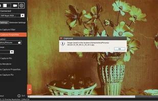 Still Capture in Linux Webcam Software