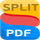 Split PDF icon