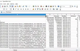 WizTree screenshot 3
