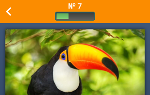 Word Connect screenshot 1