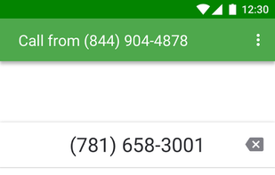 Grasshopper Virtual Phone screenshot 1