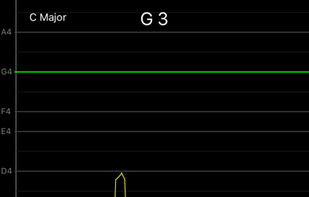 Vocal Pitch Monitor screenshot 2