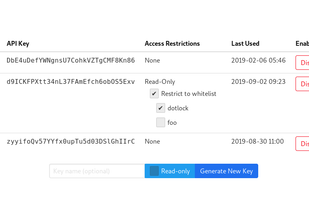 API key management interface