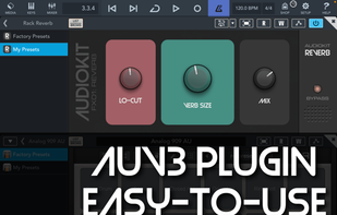 AudioKit Reverb screenshot 2