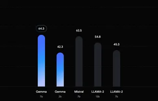 Google Gemma screenshot 1