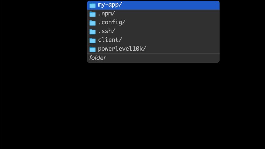 Fig Terminal Fig adds VSCodestyle to your existing