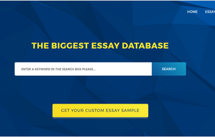 Essay Town screenshot 1