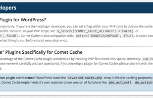 Comet Cache screenshot 2