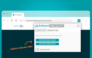 ScreenSeal screenshot 1