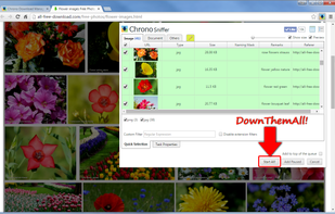 Chrono Download Manager screenshot 2