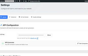 Alt Audit screenshot 3