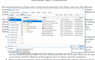 Save files with pre-defined naming rules