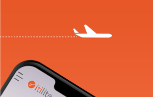 ITILITE screenshot 1