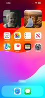 The iPhone home screen with Pocket Locket widgets, which rotate through available photos and can take you directly to the app.