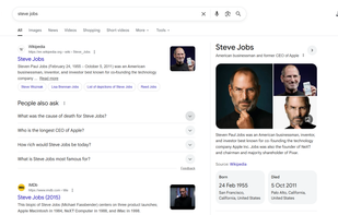 Google Search screenshot 1