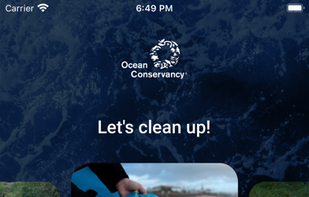 Clean Swell screenshot 1