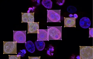 Label Studio screenshot 1