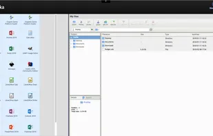 Applications delivered via the Web portal mode