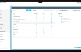 Example application developed with Silicon Low Code used to manage roles and rights for user groups