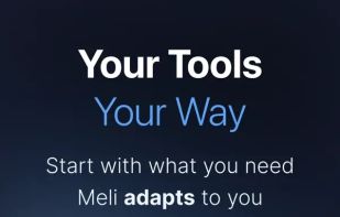 Meli AI screenshot 1