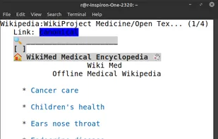 kiwix-serve screenshot 3