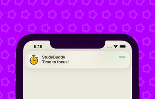 StudyBuddy - Mini Tracker screenshot 3