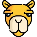 Camel Tabs icon