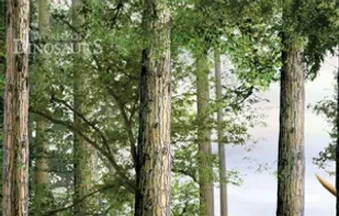 World of Dinosaurs screenshot 1