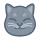 Curious Cat icon