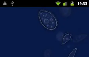 SwampWater Live Wallpaper screenshot 1