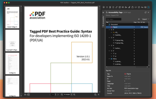 View PDF Accessibility Tags PDF/UA and WCAG