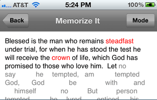 Scripture Typer screenshot 2