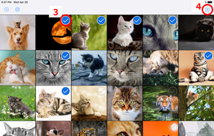 ImageDrain screenshot 1
