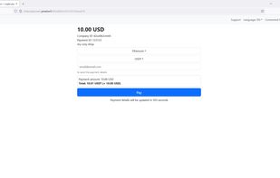 payment form for merchant clients