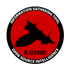 Blackbird OSINT icon