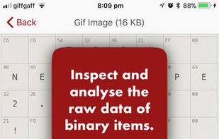 Gladys (Personal Assistant) screenshot 3