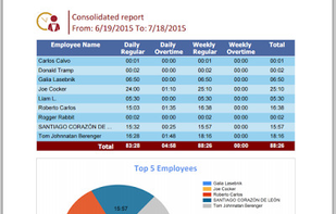Consolidated Report - Top Workers Graph