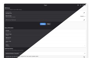 Digger DNS Lookup screenshot 3