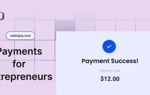 Payments for entrepreneurs.