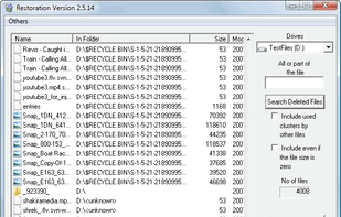 Restoration screenshot 1